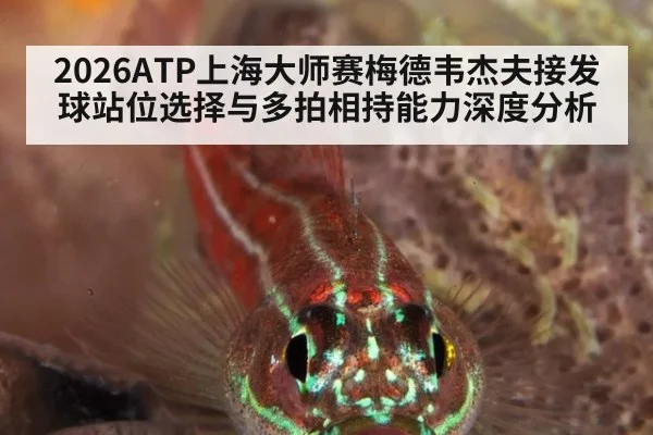 2026ATP上海大师赛梅德韦杰夫接发球站位选择与多拍相持能力深度分析